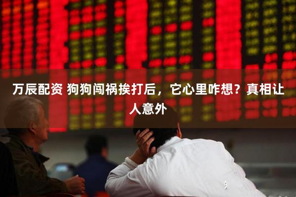 万辰配资 狗狗闯祸挨打后，它心里咋想？真相让人意外