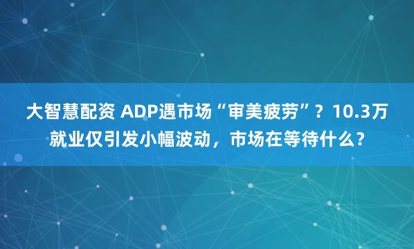大智慧配资 ADP遇市场“审美疲劳”？10.3万就业仅引发小幅波动，市场在等待什么？